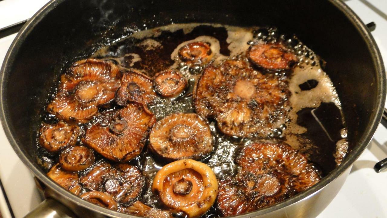 Jasliska Gutkowa Koliba 빌라 외부 사진